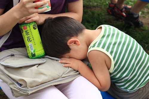 Odaiba Gundam 2009/7/18