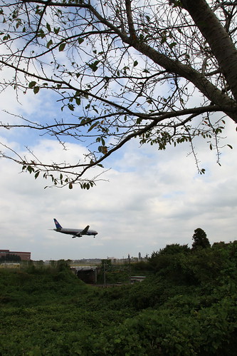 成田・さくらの山公園