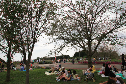 成田・さくらの山公園