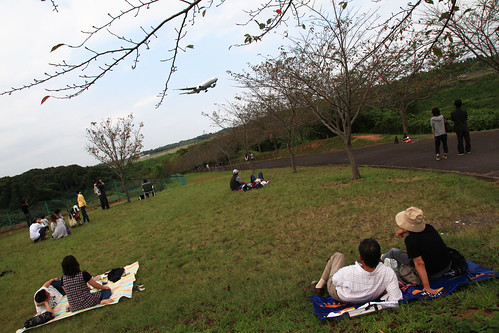成田・さくらの山公園