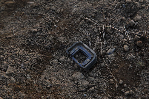 祭跡地(Odaiba Real-G)