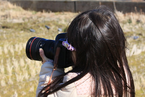 500系新幹線撮影