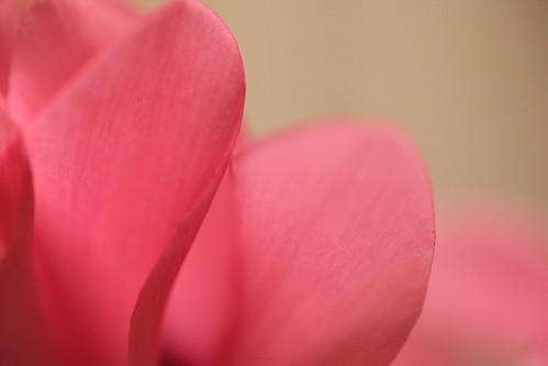 SIGMA 70mm F2.8 EX DG MACRO