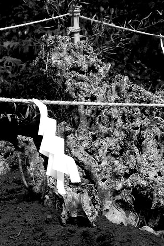 鶴岡八幡宮 Mar.28,2010