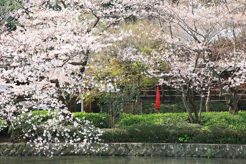 鶴岡八幡宮 Mar.28,2010