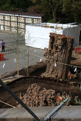鶴岡八幡宮 Mar.28,2010