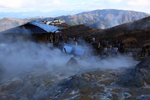 箱根紅葉 2010年11月21日