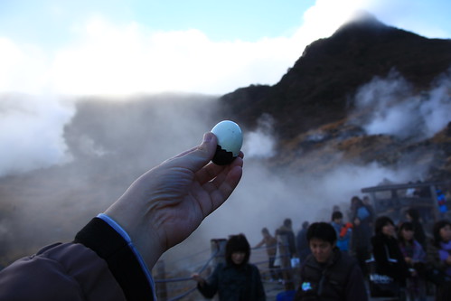 箱根紅葉 2010年11月21日