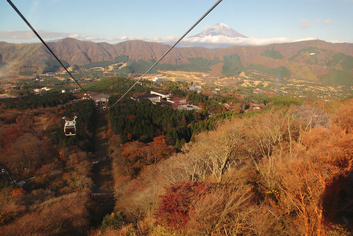 箱根紅葉 2010年11月21日
