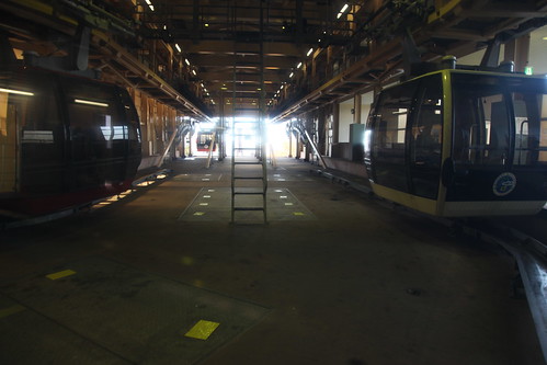 箱根紅葉 2010年11月21日