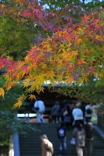 円覚寺　2010年12月4日