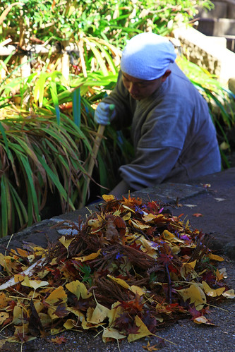 円覚寺　2010年12月4日