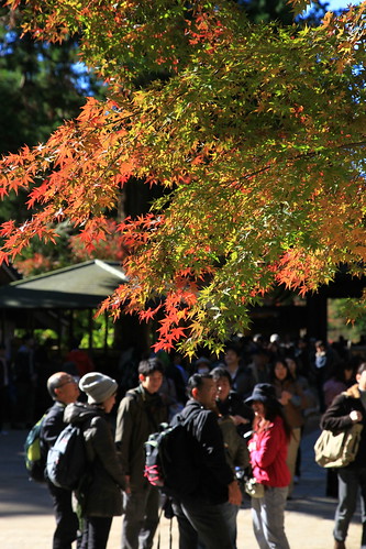 円覚寺　2010年12月4日