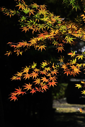 2010年12月4日　格本山覚園寺