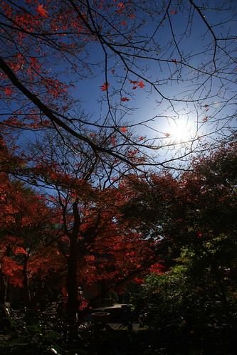 2010年12月4日　覚園寺薬師堂