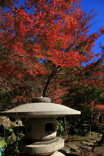 2010年12月4日　覚園寺薬師堂