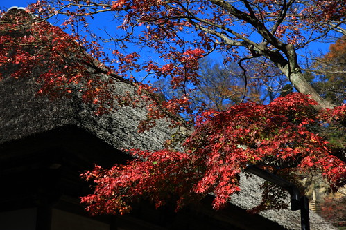 円覚寺　2010年12月4日