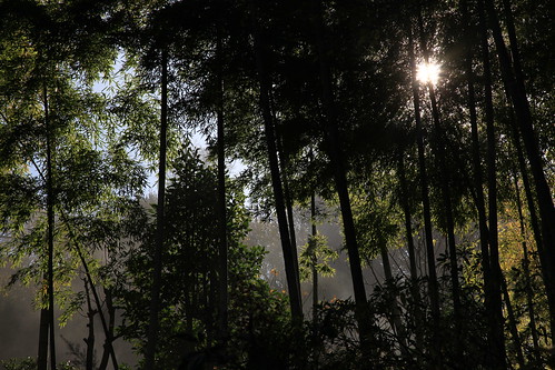 円覚寺　2010年12月4日