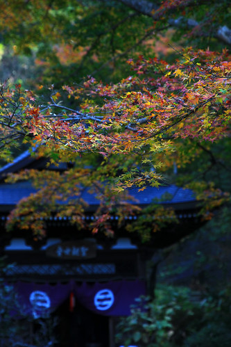 円覚寺　2010年12月4日
