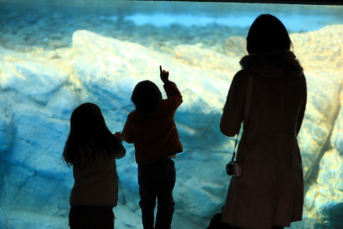 SIGMA 85mm F1.4 EX DG