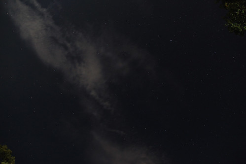 森のホテル　ロシュフォール