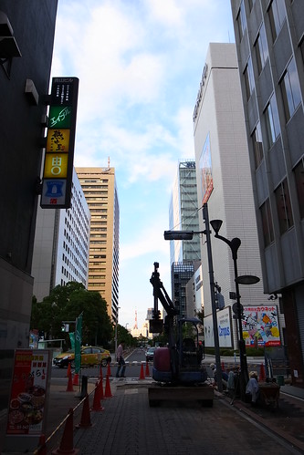 GR DIGITAL IV Sample