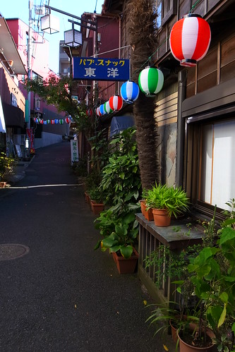 GR DIGITAL IV Sample