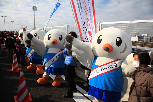 Tokyo Gate Bridge Sports Festa