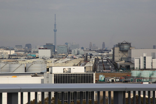 Tokyo Gate Bridge Sports Festa