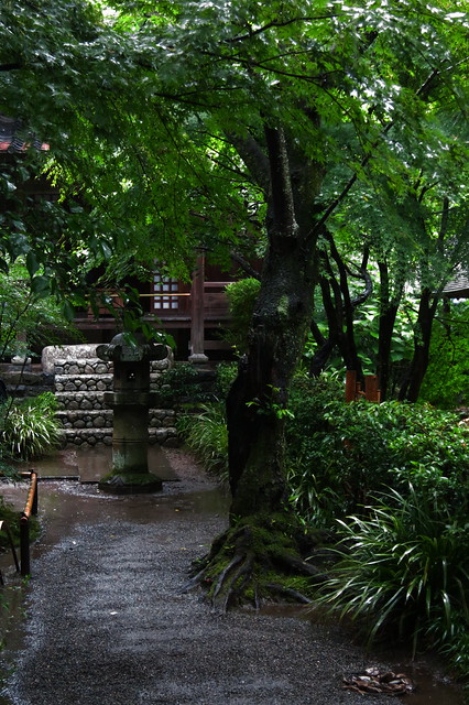 Canon PowerShot S100 Sample