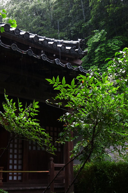 Canon PowerShot S100 Sample