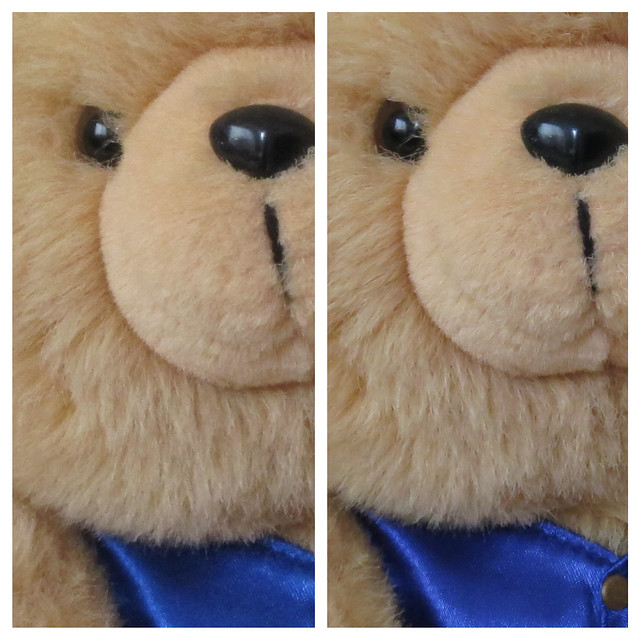 Canon PowerShot S100 Sample