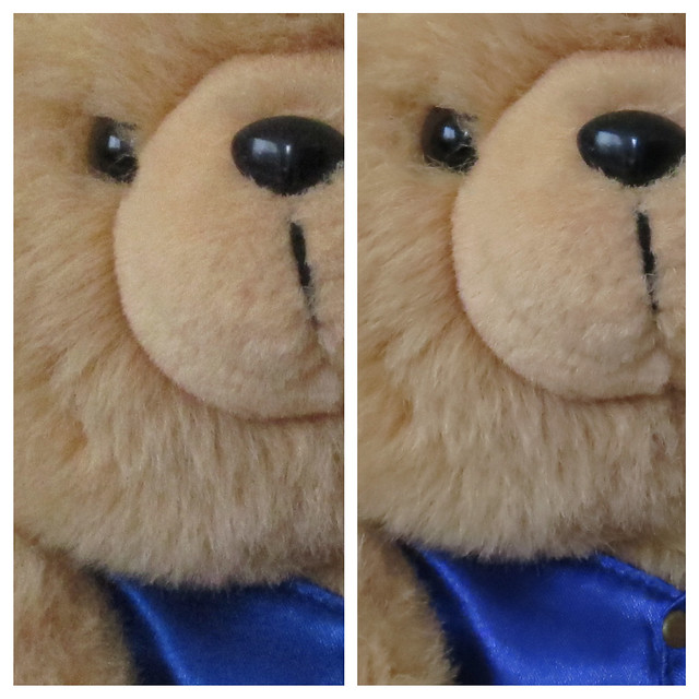 Canon PowerShot S100 Sample