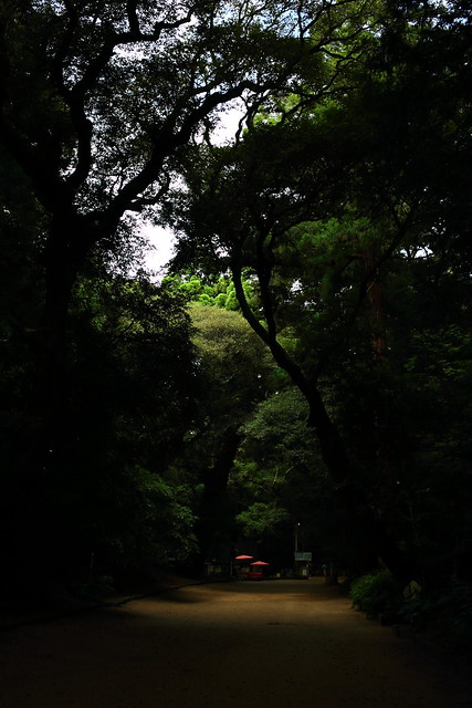 Kashima Jingu Shrine