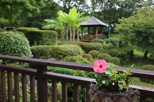 アンダ別邸 伊豆一碧湖