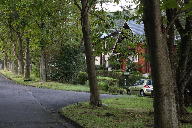 伊豆高原　周囲の環境