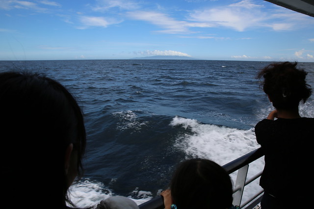 伊豆高原　周囲の環境
