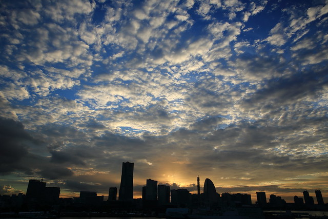 Tamron SP 24-70mm F2.8 Di VC USD (A007) Sample