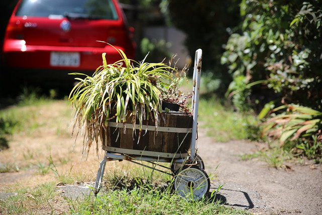 Tamron SP 24-70mm F2.8 Di VC USD (A007) Sample