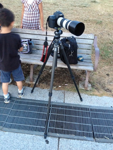 東京ゲートブリッジ / 葛西臨海公園