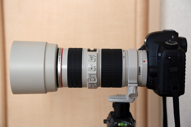 Canon EF 70-200mm f4 L USM フード付