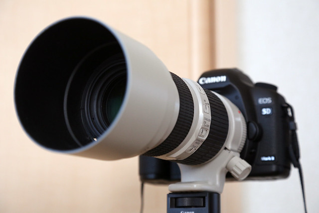 EF 70-200mm f/4L White lens hood