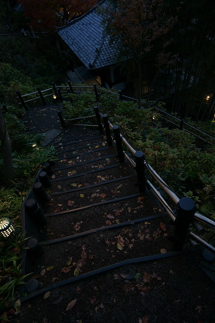 鎌倉・長谷寺 / NEX-5R