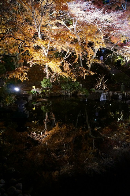 鎌倉・長谷寺 / NEX-5R