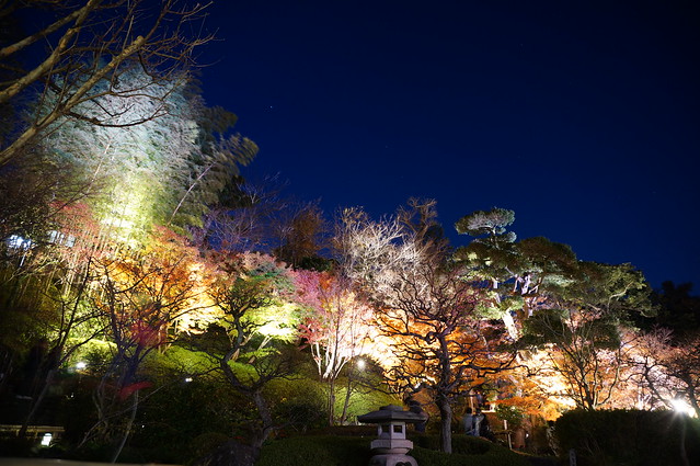 鎌倉・長谷寺 / NEX-5R