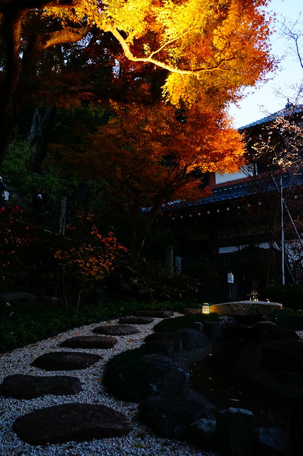 鎌倉・長谷寺 / NEX-5R