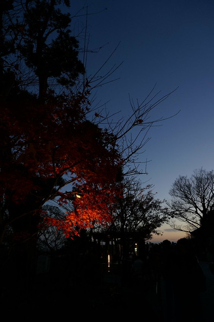 鎌倉・長谷寺 / NEX-5R
