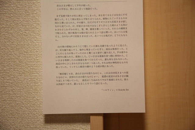 EF 24-105mm f/4L IS USM (67mm, f/4)