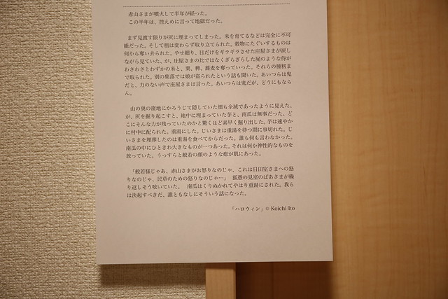 EF 24-70mm f/4L IS USM (70mm, f/4)