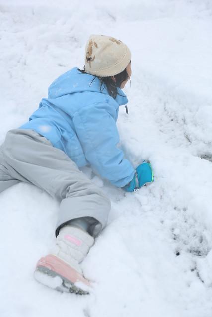 Jan, 14-15, 2013: Snow